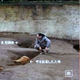 Image for article titled Archaeologists at 'Pompeii of Japan' site find a 1,400 year-old warrior still wearing his armour